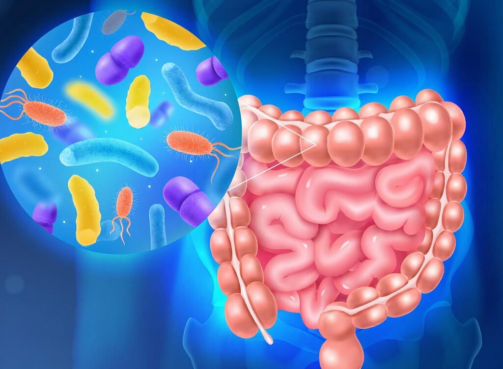 disbiose e imunidade